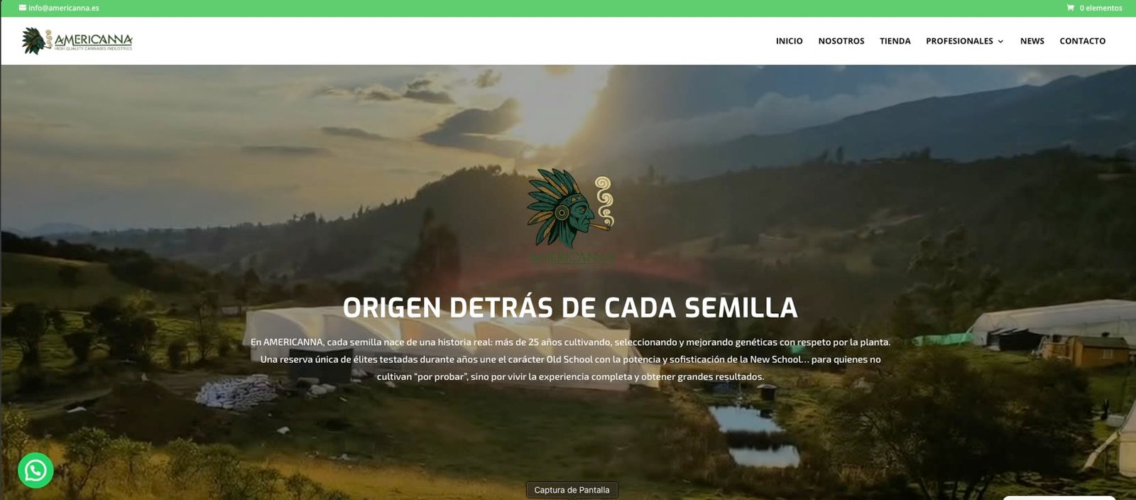 Sitio web Americanna